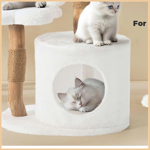 Đồ chơi thú cưng